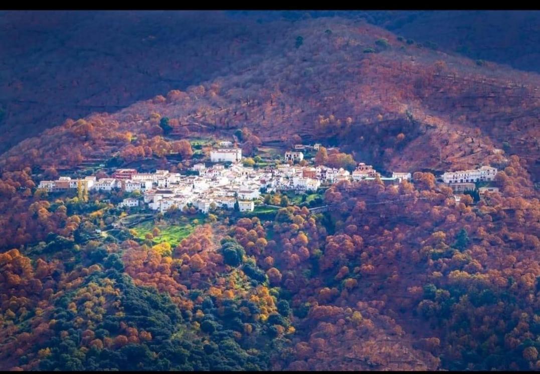 Casa Rural "La Casita" Pujerra Esterno foto